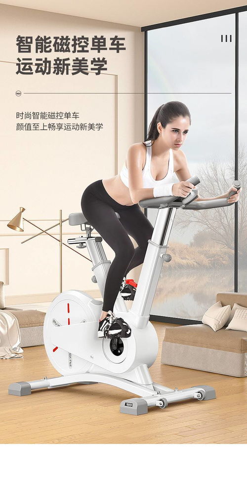 湯河店 家用磁控動(dòng)感單車app智能室內(nèi)健身車多檔變速運(yùn)動(dòng)器材