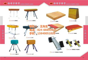 運動器材廠 豐和信息技術中心 在線咨詢 沈陽運動器材